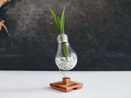 BETA антистрес крушка (с възможност за персонализиране)