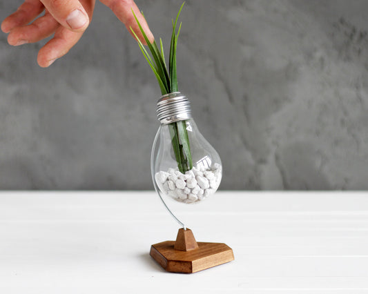 HEX антистрес крушка (с възможност за персонализиране)