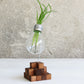 "Cube" upcycled lightbulb vase - Paladim Handmade